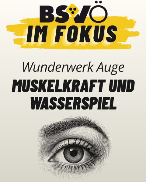 BSVÖ im Fokus © BSVÖ BSVÖ im Fokus © BSVÖ