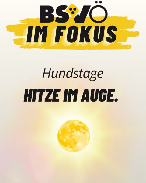 BSVÖ im Fokus © BSVÖ BSVÖ im Fokus © BSVÖ