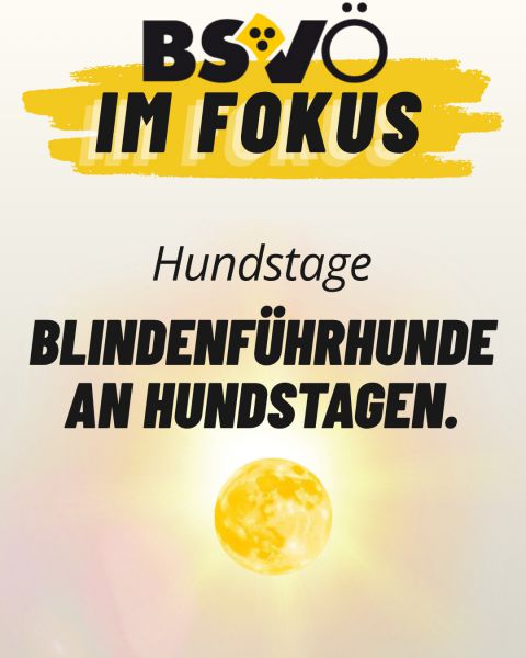BSVÖ im Fokus © BSVÖ BSVÖ im Fokus © BSVÖ