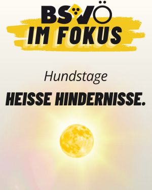 Hundstage © BSVÖ
