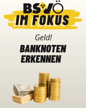 BSVÖ im Fokus © BSVÖ