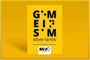 Plakat: Gemeinsam mehr sehen © bsvö/gruppe am park