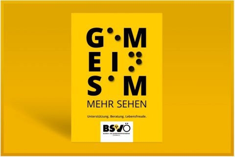 Plakat: Gemeinsam mehr sehen © bsvö/gruppe am park
