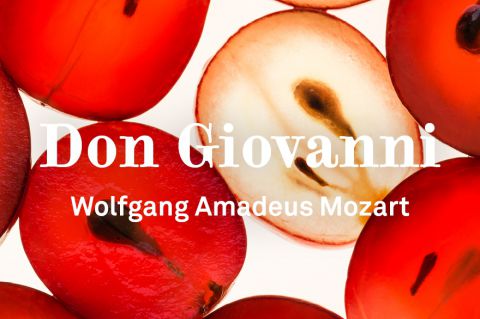 Don Giovanni © Oper Graz