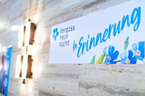Vergissmeinnicht © Schedl_Vergissmeinnicht